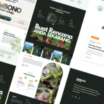 Website Rimbono Homestay
